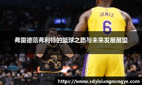 优游国际平台