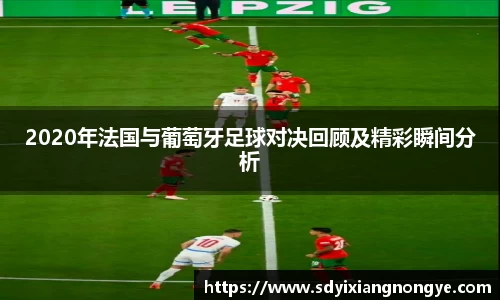 优游国际