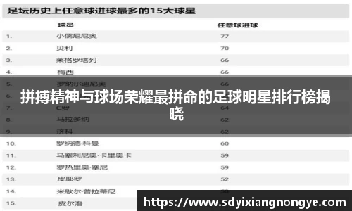 优游国际